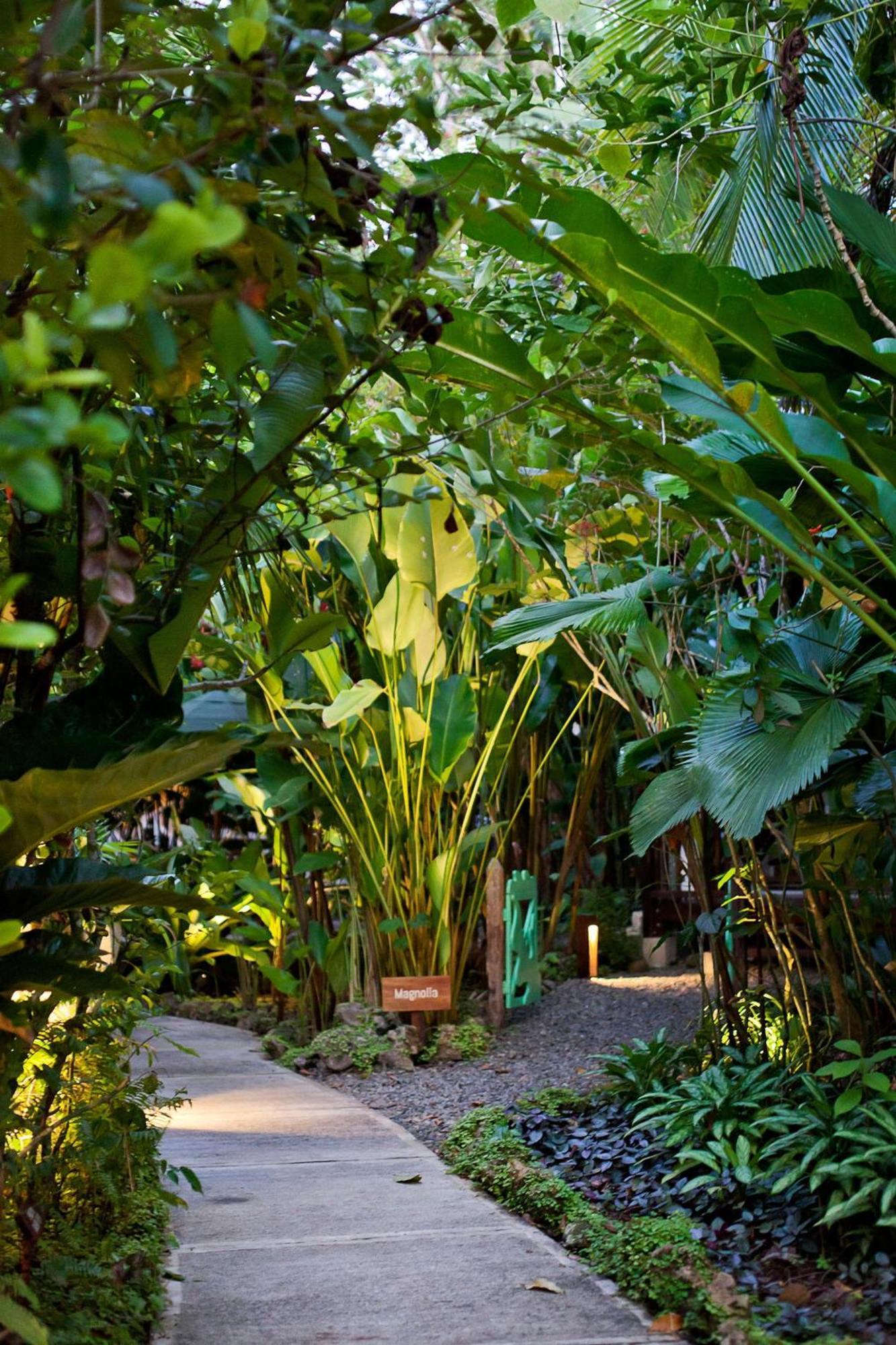 Hotel Aguas Claras Member Of The Cayuga Collection Puerto Viejo de Talamanca Ngoại thất bức ảnh
