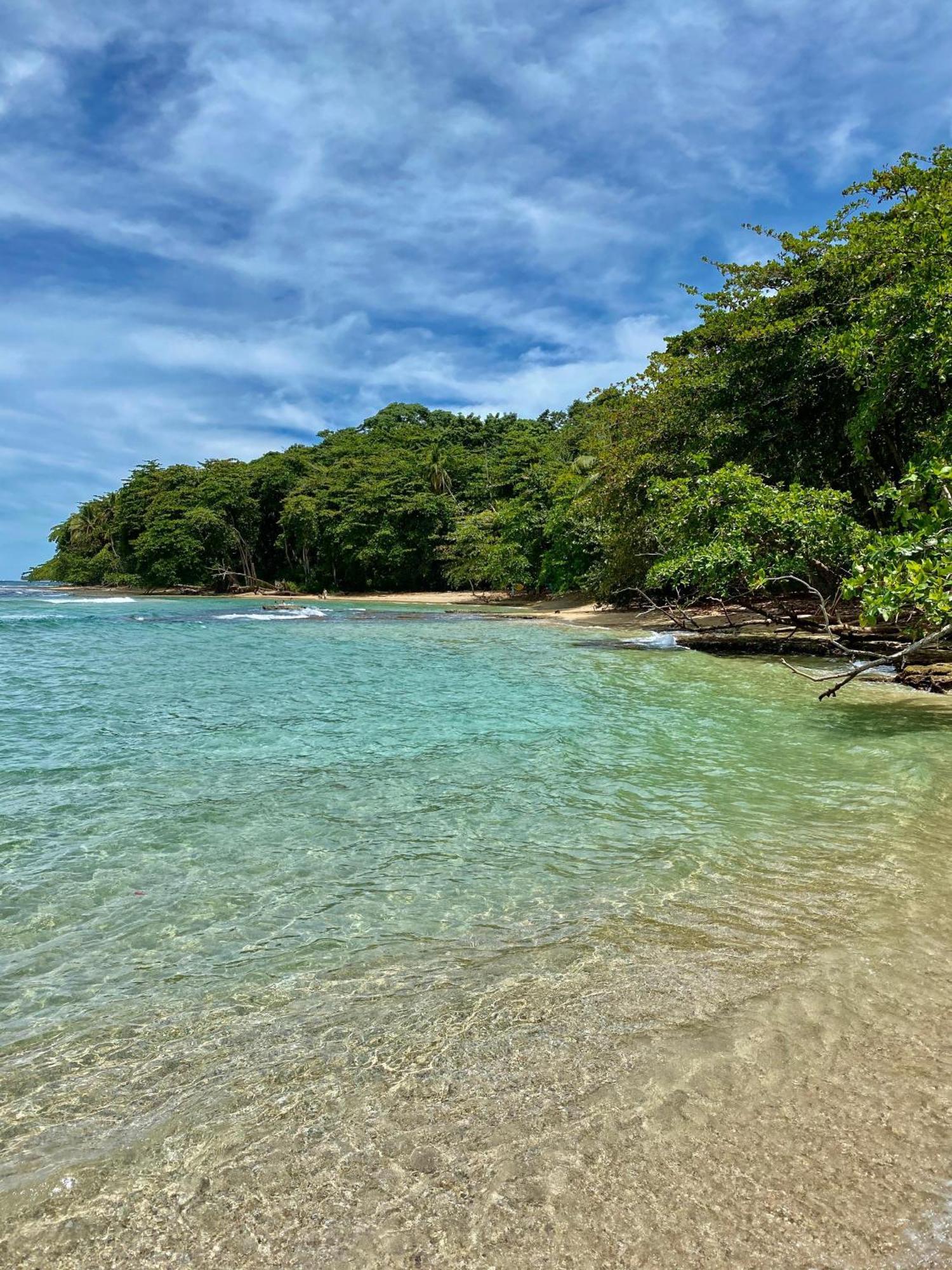 Hotel Aguas Claras Member Of The Cayuga Collection Puerto Viejo de Talamanca Ngoại thất bức ảnh